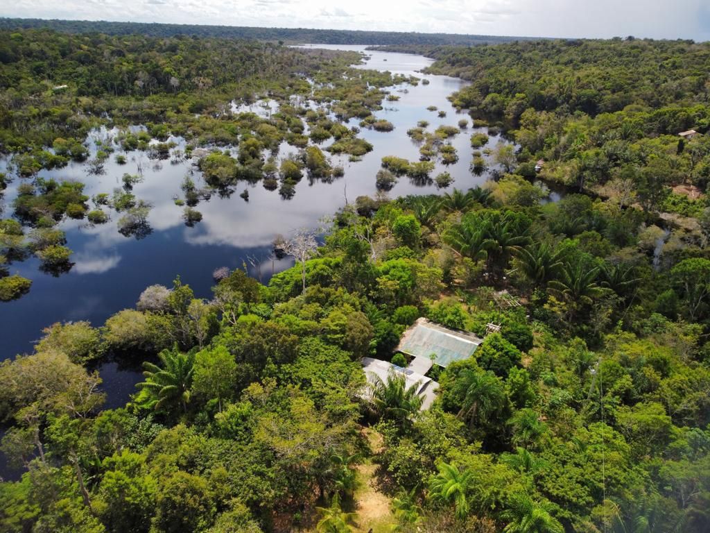Vista aérea da Amazônia com rio e floresta